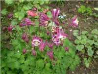 53a95bf0-Picture 5871.jpg